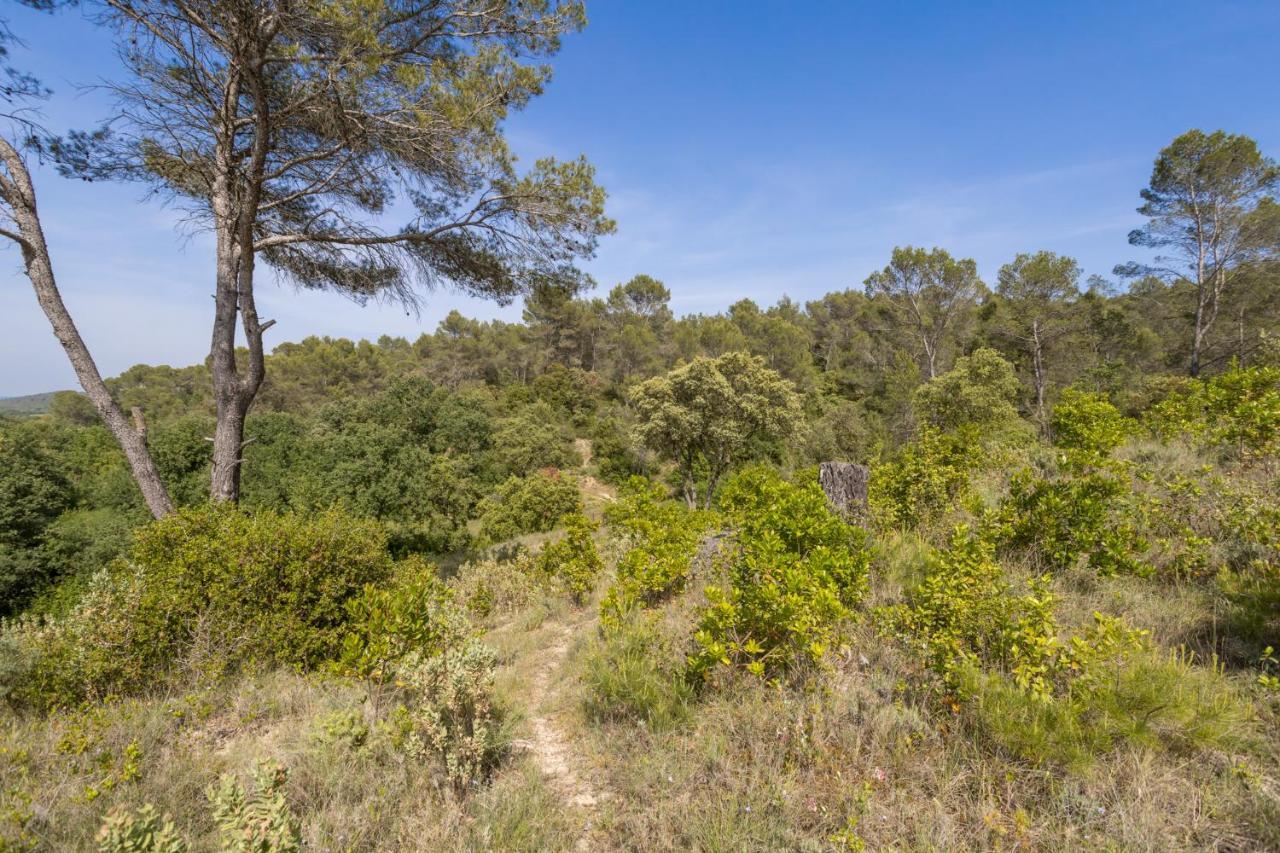 Petit Paradis Garrigue Villa Moulezan Bagian luar foto